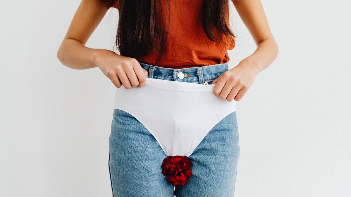 Close-up of woman wearing jeans and white underwear, holding a red flower.
